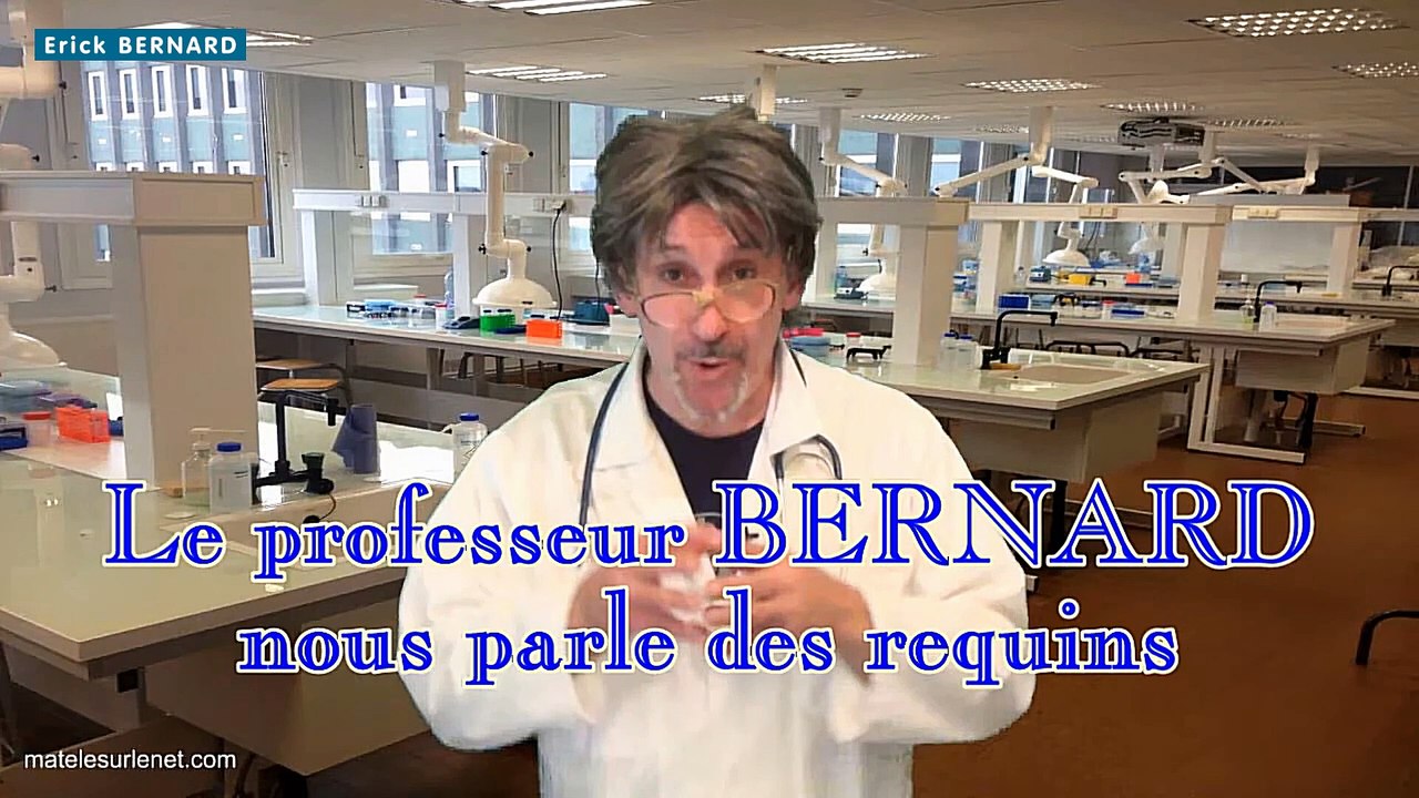 Regroupement de requins