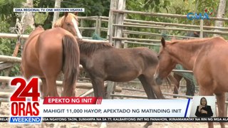 Mahigit 11,000 hayop, apektado ng matinding init | 24 Oras Weekend