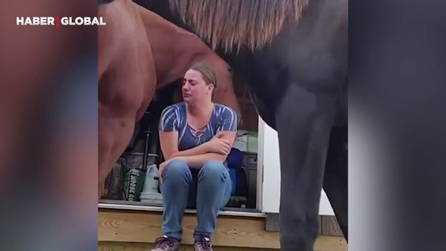 Hüngür hüngür ağlayan sahibini teselli eden atın görüntüleri şaşırttı