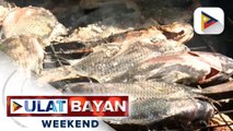 Nasa 100 kilos ng tilapia, bumida sa Tilapia Festival sa San Pablo City, Laguna