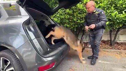 Trento, sequestrati oltre 3 chili di droga