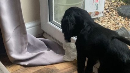 Playing with tape is all fun and games until you land into a sticky situation