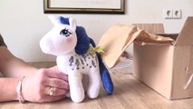 MY LITTLE PONY-UNBOXING PONY POST HQG1C LOVEABLE PLUSH BLUE BONNET