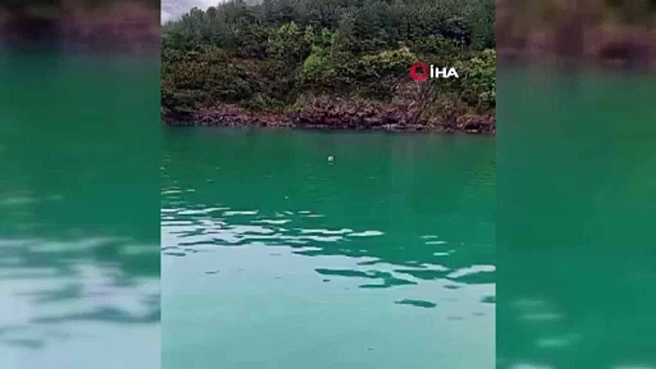 Ne olduğu merak ediliyor! Karadeniz'de gizemli cisim alarmı