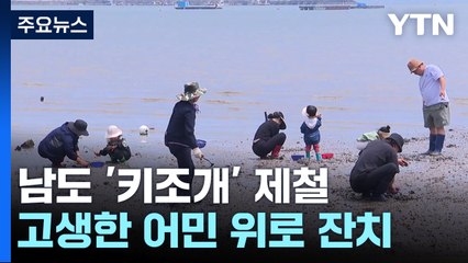 키조개에 반하고 철쭉에 취하고...남도 먹거리·볼거리 한마당! / YTN