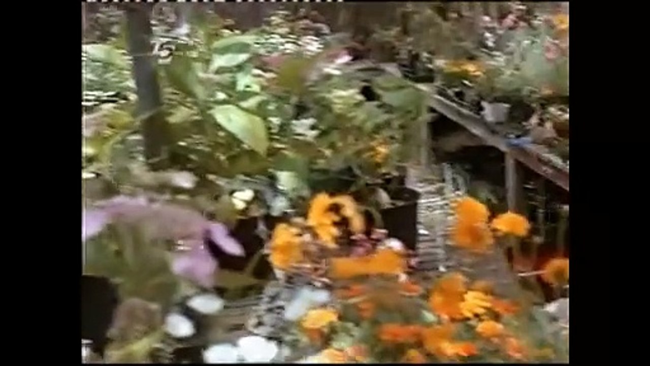 Niemand hört den Schrei - Krimi, USA 1994