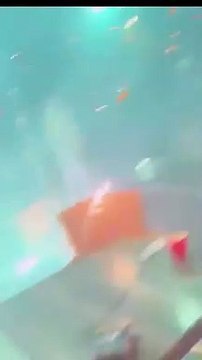 Eric Zemmour agressé et insulté lors de son déplacement en Corse, par des gens qu'il désigne comme des milices d'ultra-gauche