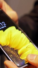 Ecrans Samsung Display