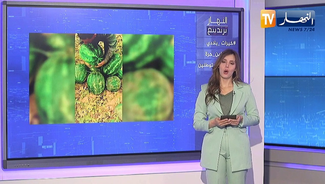 النهار ترندينغ :  بطيخ من أجود الأنواع  يصنع الحدث بواد سوف ..طالبة جامعة تتضامن مع فلسطين بطريقتها الخاصة ومستوطنون يعتدون على قافلات تحمل مساعدات لأهالي غزة