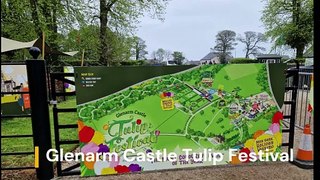 Glenarm Castle Tulip Festival