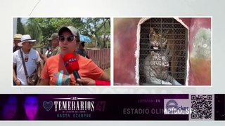 Se toman el incautado zoológico 'Joya Grande', exigiendo pago de salarios atrasados
