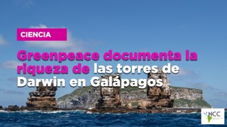 Greenpeace documenta la riqueza de las torres de Darwin en Galápagos