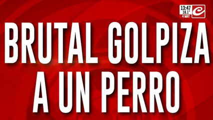 Le dio una brutal golpiza a un perro y lo escracharon: se entregó a la Policía
