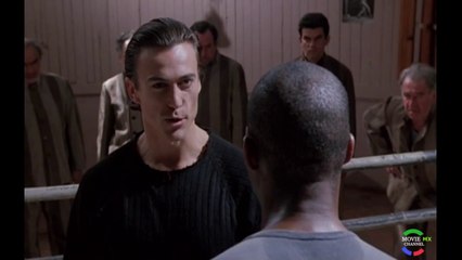 Contacto Sangriento  Bloodsport 4 --Cine Internacional