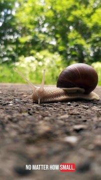 Inspired Living Embracing Health and Happiness