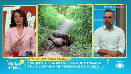 Ilha da Queimada Grande: o lar das cobras venenosas |Melhor da Tarde