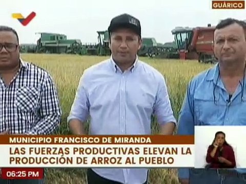 Productores del estado Guárico inician cosecha de arroz para beneficio del pueblo venezolano