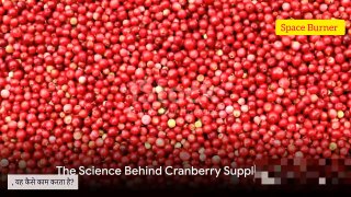 Cranberries: The Natural Boost for Runners Looking to Outpace the Competition
