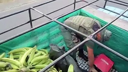 ext-decomiso-de-cargamento-040524