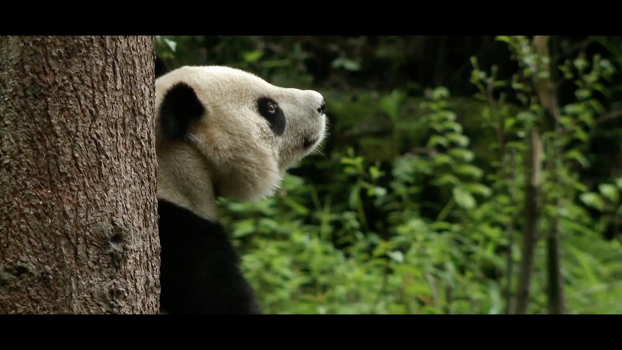 Trait d'union entre l'Orient et l'Occident EP3 : Yuan Meng