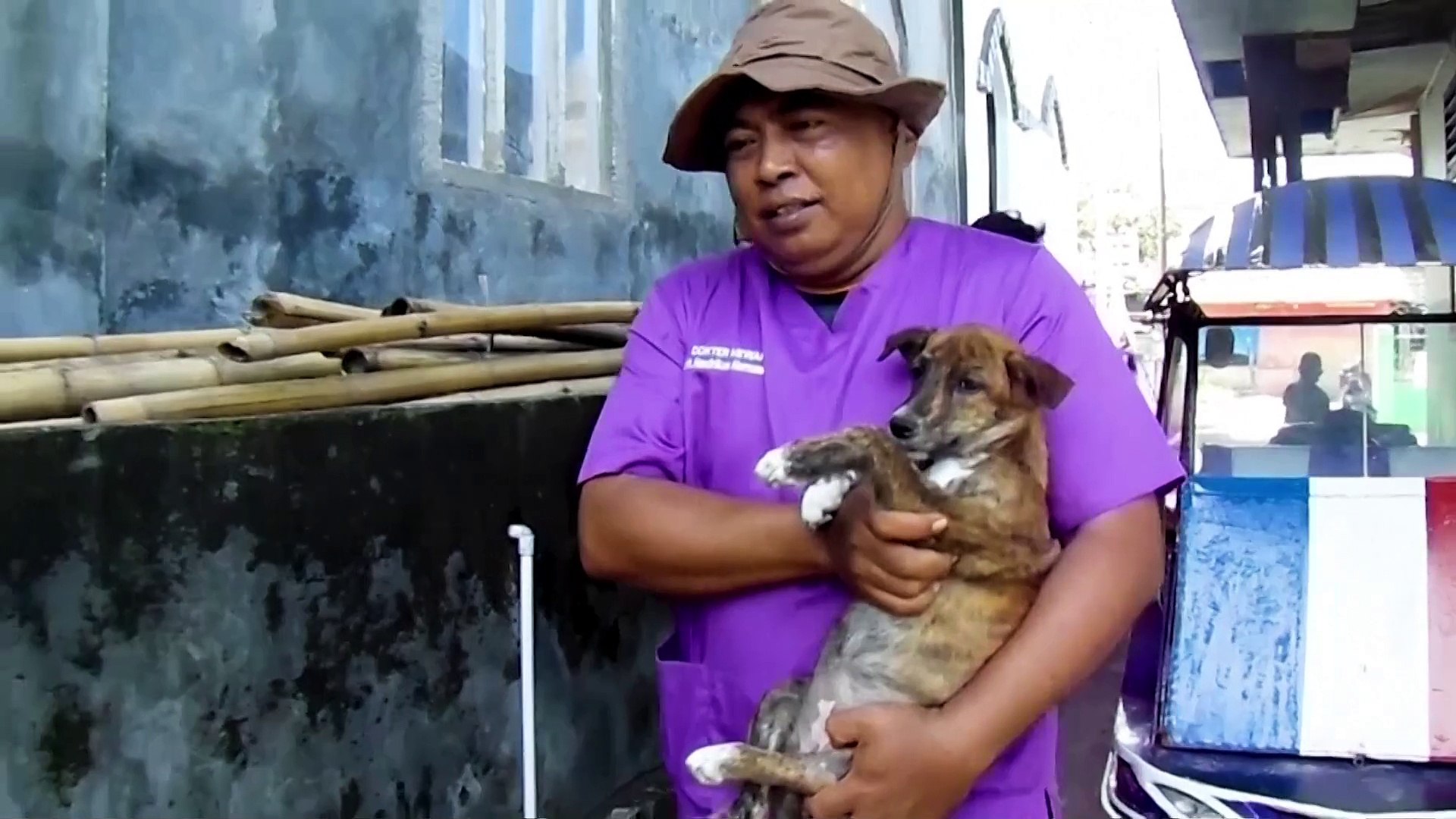 ⁣Indonesia volunteers rescue animals as volcano erupts