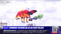 Toutes les ficelles pour devenir un as du cerf-volant