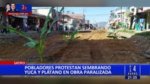 Satipo: vecinos siembran plátanos y yucas en protesta por obra paralizada