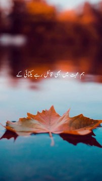 ہم محبت میں بھی قائل رہے یکتائی کے ہم نے رکھا ہی نہیں دل میں دوبارہ کوئیUrdu poetry | weird Stories | Urdu hindi | #urdusadpoetry #hindipoetry #best poetry #shairy #viralpoetry #poetrystatus