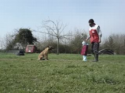 bimbo des deux sabres refus d'appats