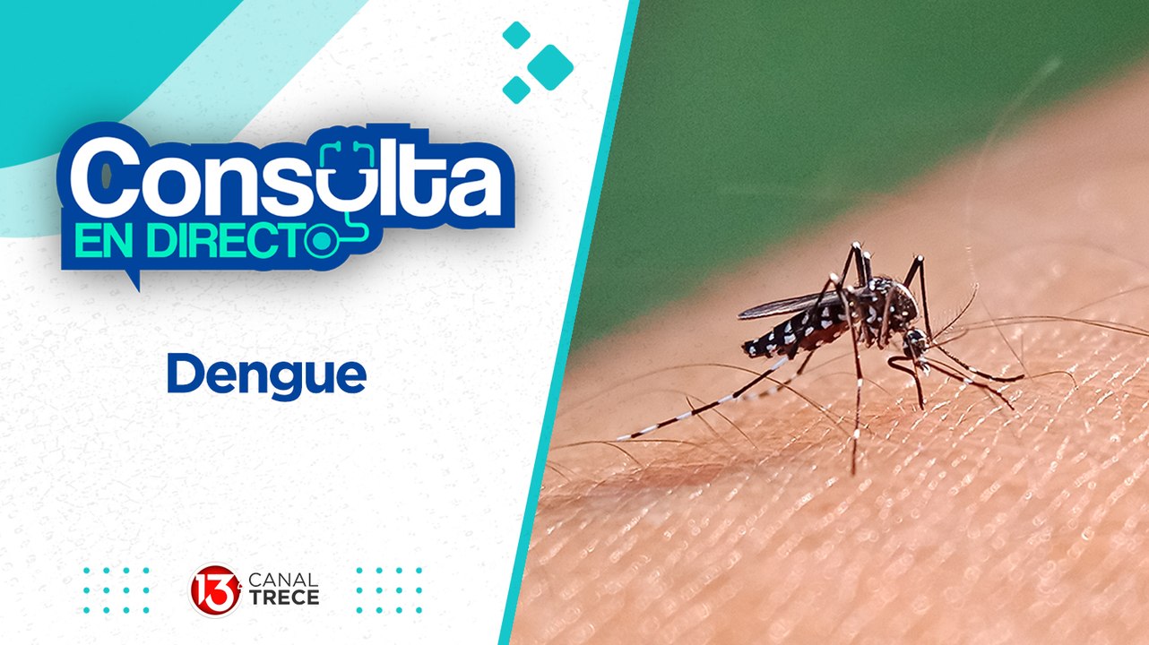 Dengue | Consulta en directo 3 mayo 2024. Progr...