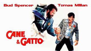Film: Cane & Gatto HD