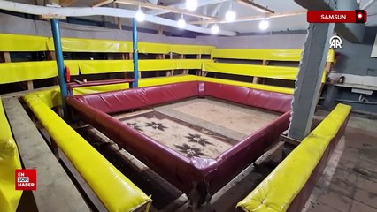 Samsun’da hayvanları koruma dernği kurup horoz dövüştürdüler