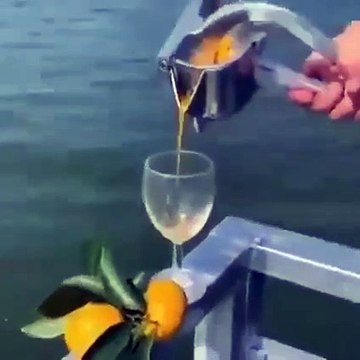 Manual Fruit Juice Squeezer #shorts #shortvideo #video #virals #videoviral #innovationhub