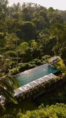 LES PLUS VERTS paysages de Bali : Munduk