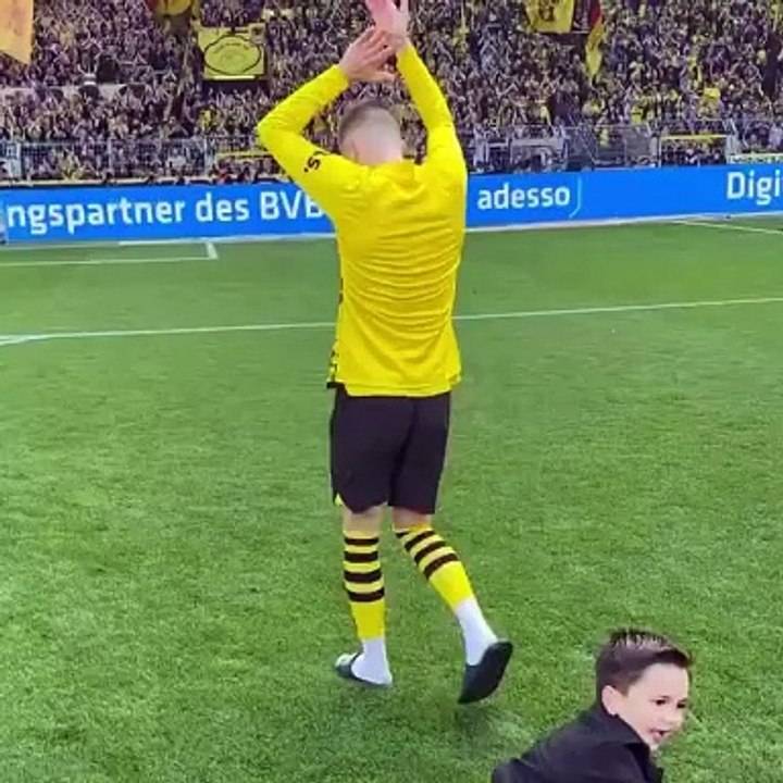 BVB