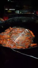 Indian French Fries Unnao India 2024