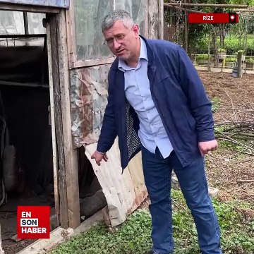 Rize'de sokak köpekleri 15 keçi ve 150 tavuğu telef etti