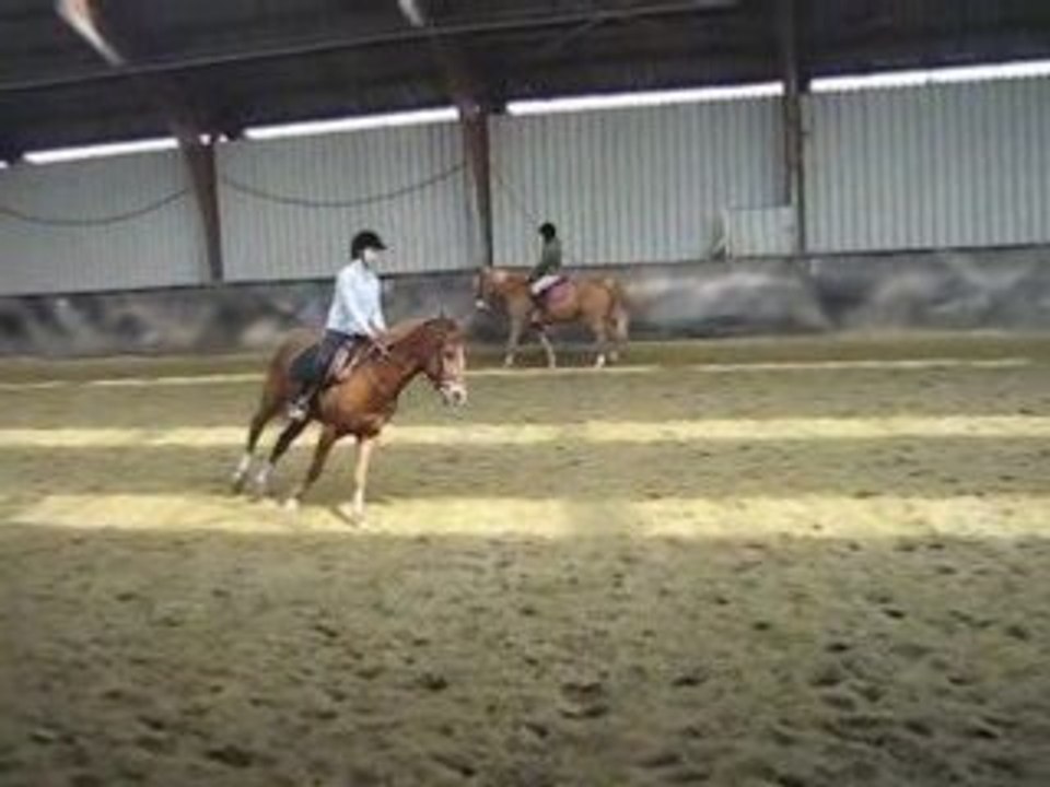 galOp