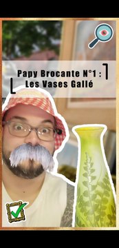 Papy Brocante N° 1 : Les Vases Gallé | Émile Gallé | TiP | Antiquaire
