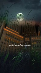 SubhanAllah  Follow me ❤️#tiktok #shayari #urdupoetry #islamicvideo #foryou  #islamicpedia #urduquotes