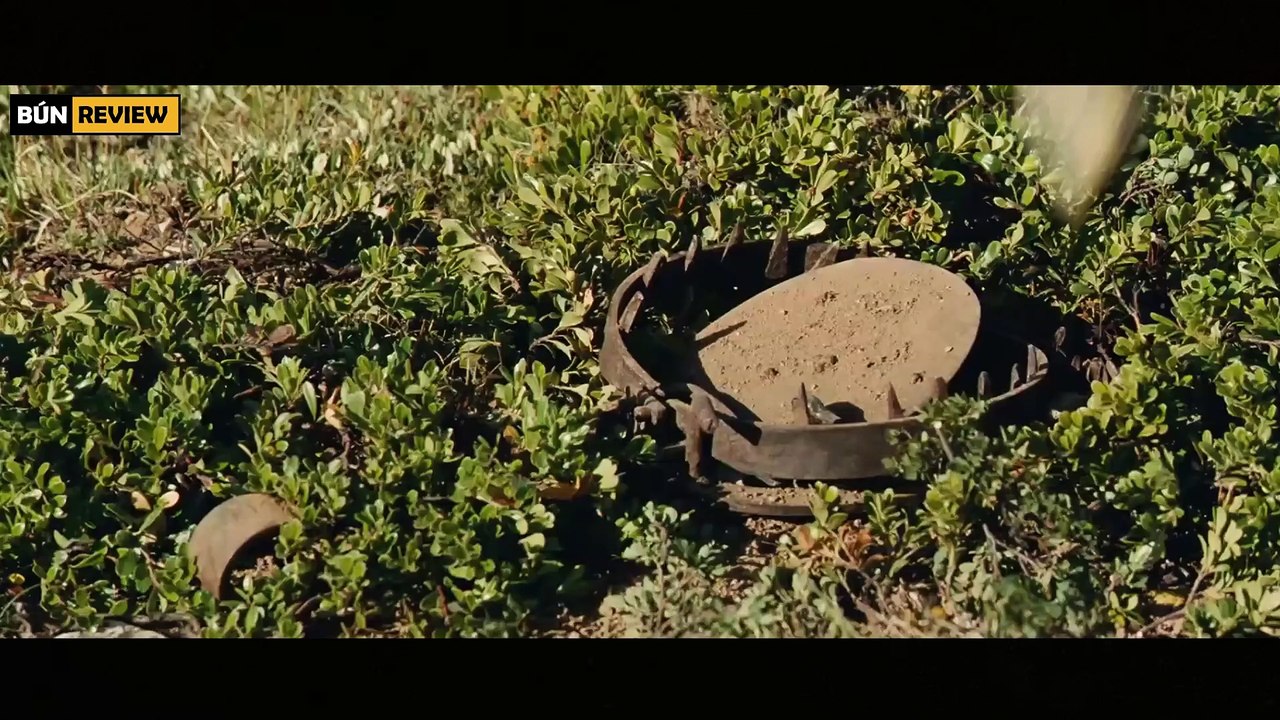 Cậu bé tình cờ gặp chú chó hoang và trở thành bạn bè thân thiết - REVIEW PHIM- Belle và Sébastien