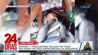 Mahigit 1 toneladang yellowfin tuna, nalambat ng mga mangingisda sa Pagudpud | 24 Oras Weekend