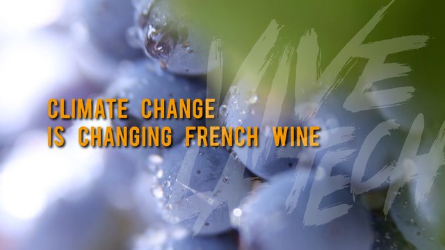 Vive la Tech: Climate change is changing French wine