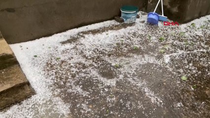 1500 dekar ekili alanı dolu vurdu