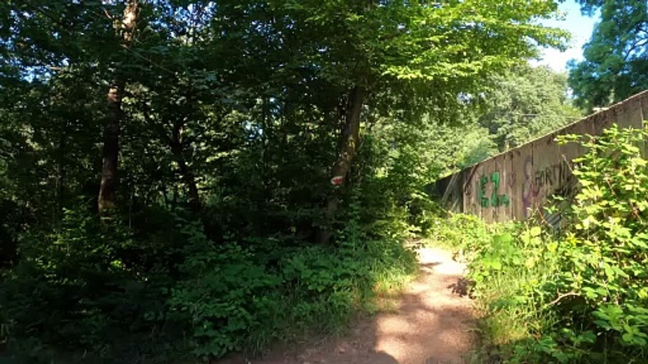 Trail zum Adolfstor: MTB Lainzer Tiergarten-Strecke POV (3)