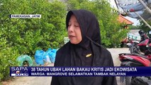 Cerita Slaman, Aktivis Lingkungan yang Hidupkan Lahan Mangrove Kritis Selama 38 Tahun