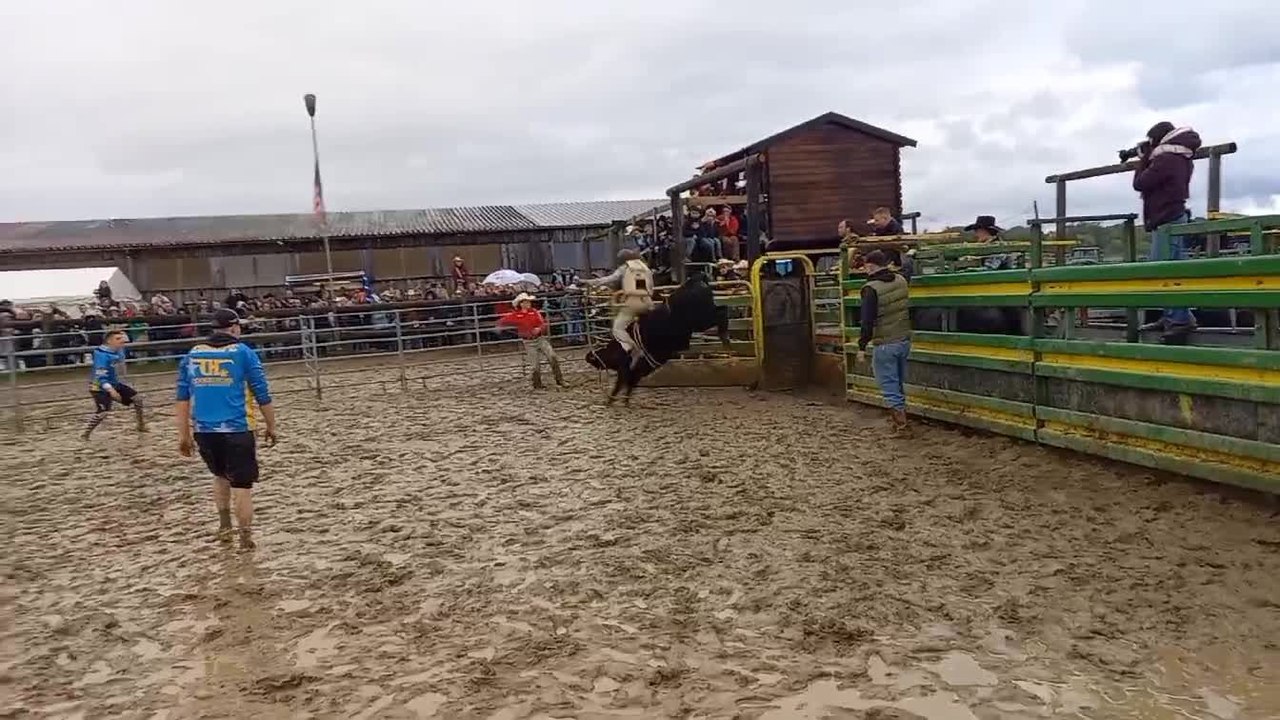 Rodéo à Gendron: "Jean-Ba", un namurois champion de rodéo, dans ses oeuvres