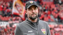 Sebastian Hoeneß: Das ist über den Fußballtrainer bekannt