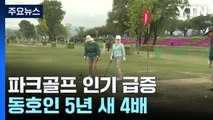 18홀에 단돈 6천 원 '파크골프'...동호인 5년 새 4배 급증 / YTN