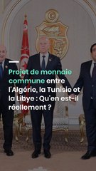 Projet de monnaie commune entre l'Algérie, la Tunisie et la Libye : Qu'en est-il réellement ?